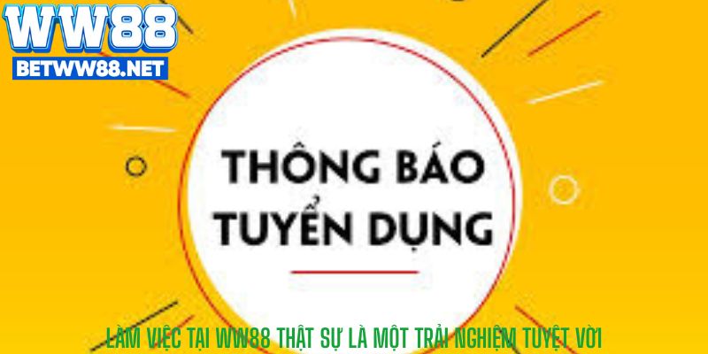 Làm việc tại WW88 thật sự là một trải nghiệm tuyệt vời